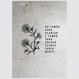 Quadro Muro - Flor - Incomum Oficial