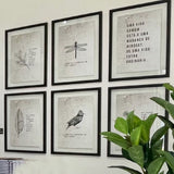 Quadro Muro - Flor - Incomum Oficial