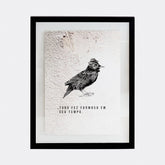 Quadro Muro - Pássaro - Incomum Oficial