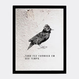 Quadro Muro - Pássaro - Incomum Oficial