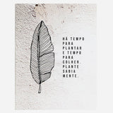 Quadro Muro - Folha - Incomum Oficial