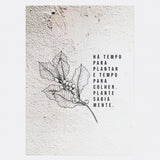 Quadro Muro - Café - Incomum Oficial