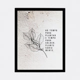 Quadro Muro - Café - Incomum Oficial