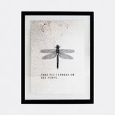 Quadro Muro - Libélula - Incomum Oficial