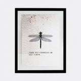 Quadro Muro - Libélula - Incomum Oficial