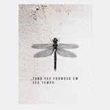 Quadro Muro - Libélula - Incomum Oficial