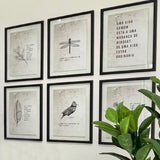 Quadro Muro - Libélula - Incomum Oficial