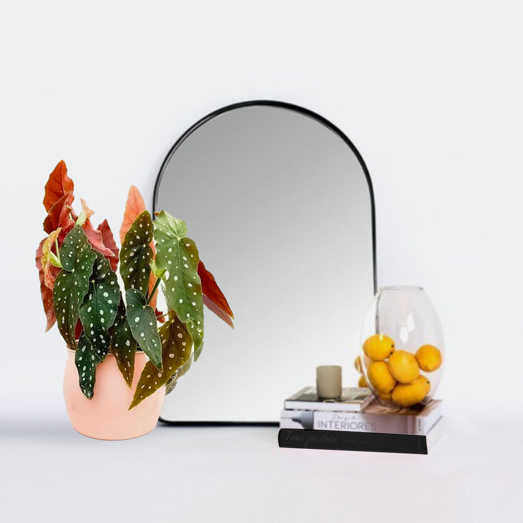 Espelho de parede In_Comum - Preto