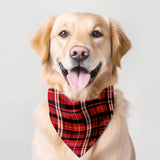 Bandana pet - Melhor companhia - Incomum Oficial