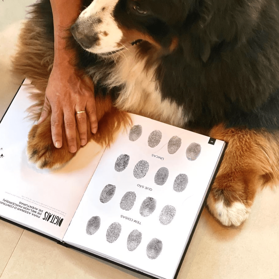 Livro Pet - Coletor de memórias - Incomum Oficial