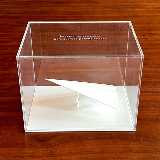 Escultura de avião - Boas Memórias